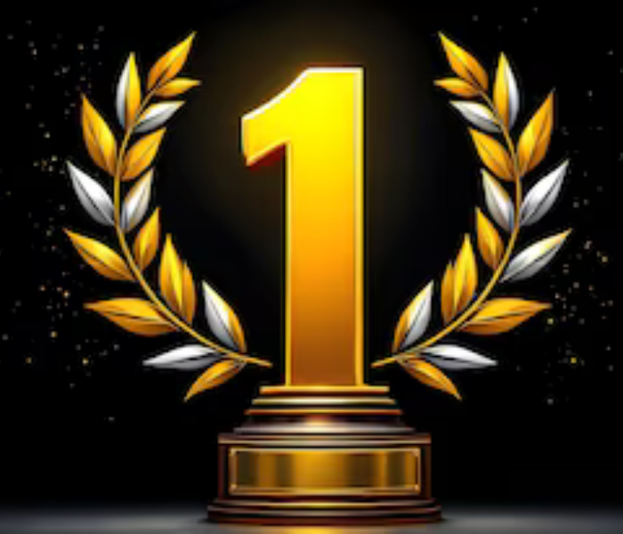 District-Level Karate Achievements