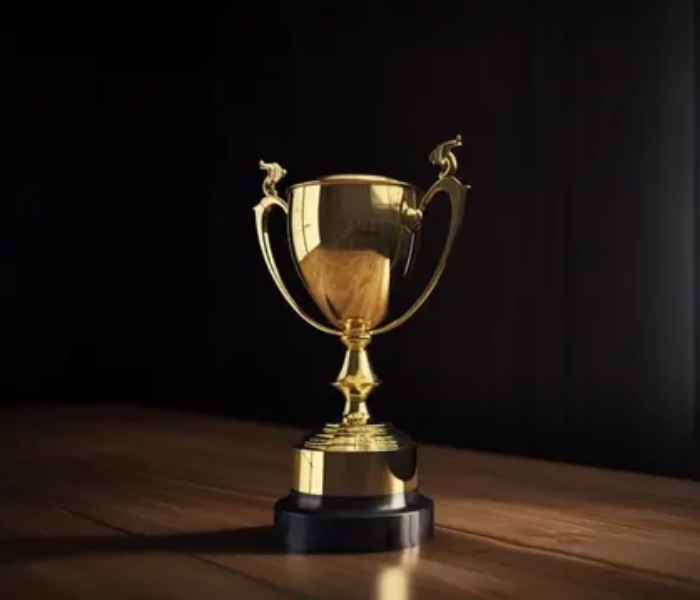 Annual cultural and talent shows recognized by local media